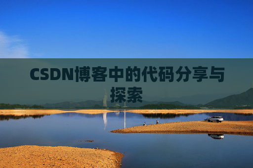 CSDN博客中的代码分享与探索